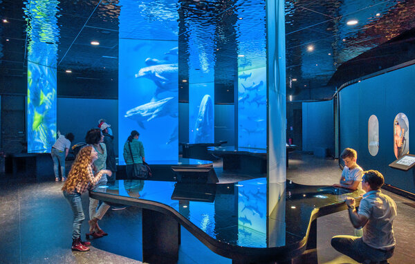 Feriehuse - SAINT-VAAST-LA-HOUGUE , Frankrig - FNM612 910