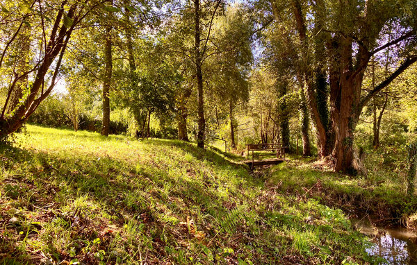 Casa vacanze - Soulles , Francia - FNM618 102
