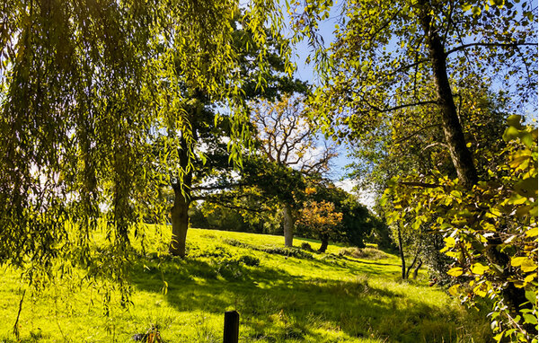 Casa vacanze - Soulles , Francia - FNM618 104