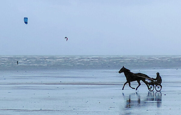 Feriehus - Creances , Frankrig - FNM623 909