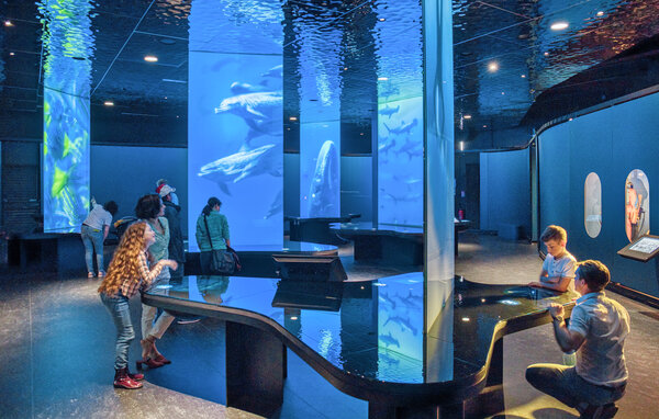 Ferienhaus - Saint-Christophe-du-Foc , Frankreich - FNM629 902