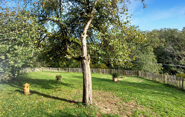 Vakantiehuis - Le Parc , Frankrijk - FNM649 103