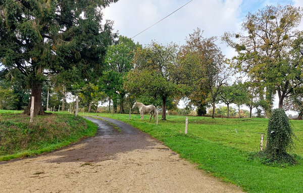 Vakantiehuis - Le Parc , Frankrijk - FNM650 9
