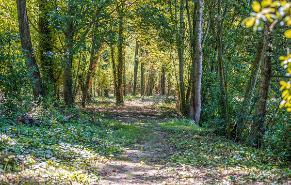 Location de vacances - BOURBOURG , France - FNN039 901