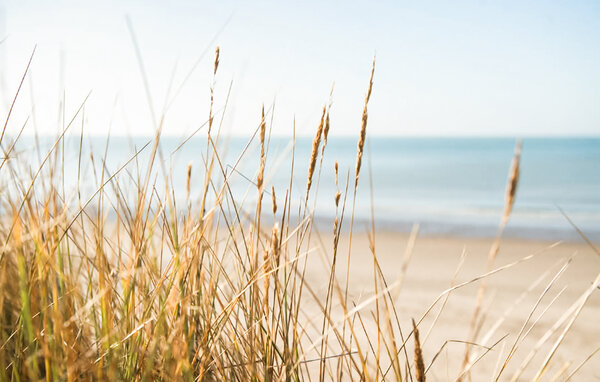 Vakantiehuis - Bray-Dunes , Frankrijk - FNN040 903