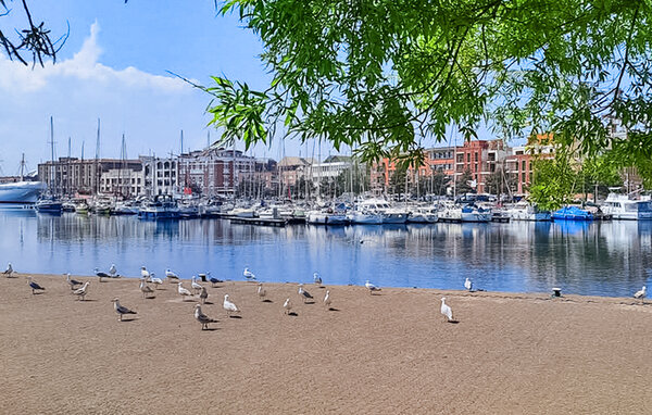 Location de vacances - Dunkerque , France - FNN041 903