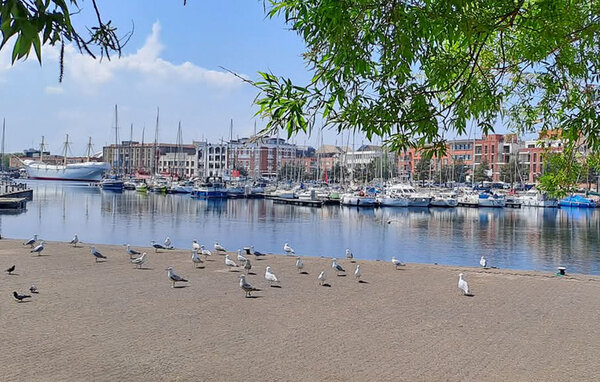 Semesterlägenhet - Malo-Les-Bains , Frankrike - FNN045 902