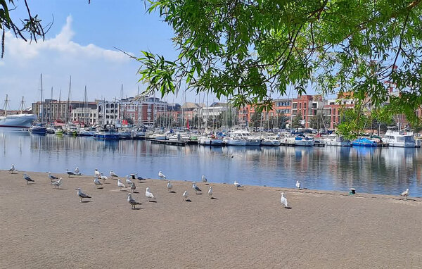 Ferienwohnung - Bray-Dunes , Frankreich - FNN049 8