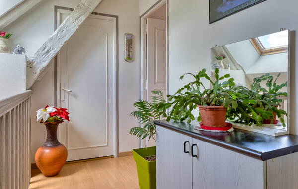 Casa vacanze - Tourouvre au Perche , Francia - FNO039 501