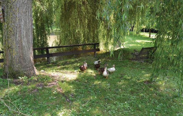 Ferienhaus - Wimille , Frankreich - FNP026 804