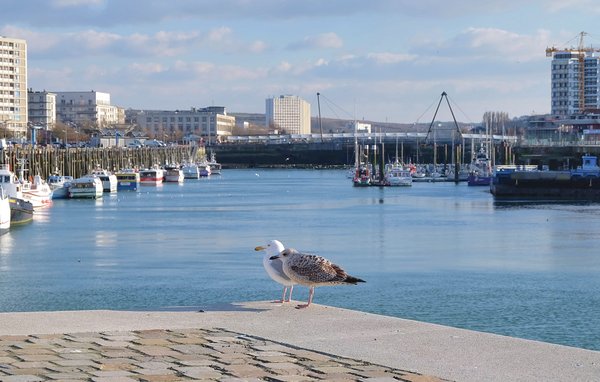 Apartment - Wimereux , France - FNP152 904