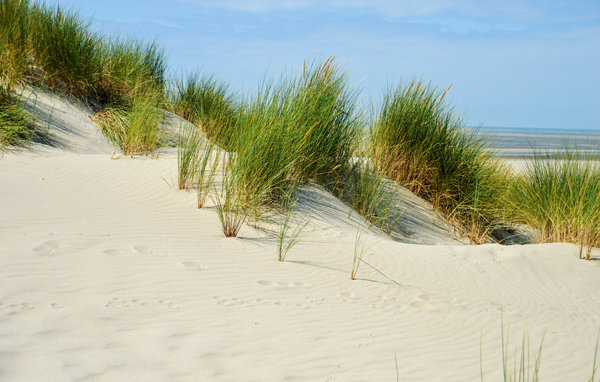Vakantiehuis 