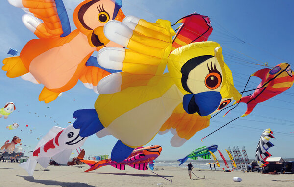 Appartement - LE TOUQUET , France - FNP215 902