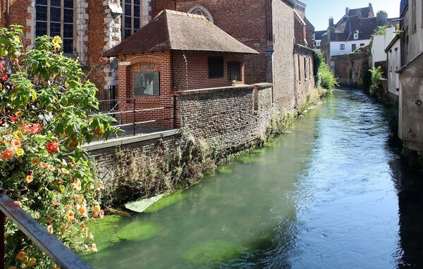 Ferienhaus - Hesdin-La-Forêt , Frankreich - FNP216 902