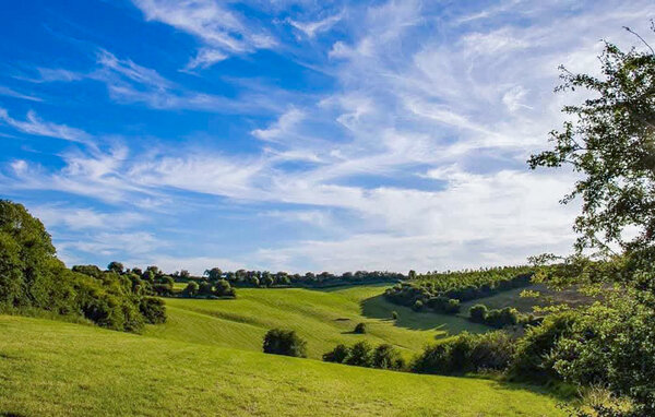 Ferienhaus - Hesdin-La-Forêt , Frankreich - FNP216 903