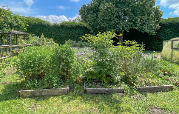 Ferienhaus - Hesdin-La-Forêt , Frankreich - FNP216 103