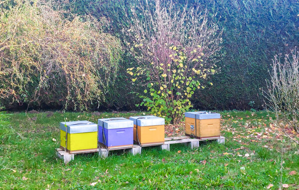 Ferienhaus - Hesdin-La-Forêt , Frankreich - FNP216 104
