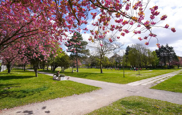 Appartement - LE TOUQUET , France - FNP219 6