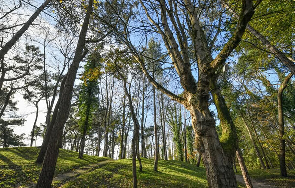 Appartement - LE TOUQUET , France - FNP219 904