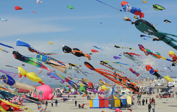 Apartment - BERCK , France - FNP226 903