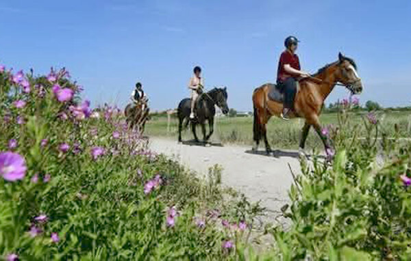Apartment - BERCK , France - FNP226 906