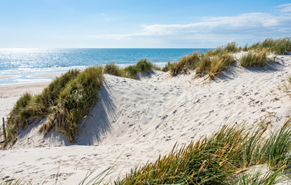 Apartment - BERCK , France - FNP226 908