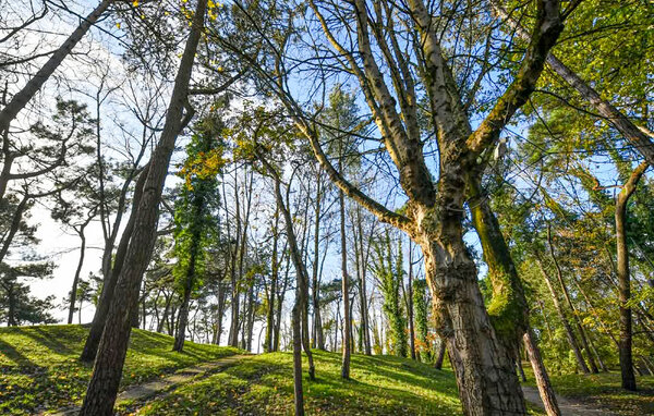 Ferienwohnung - Sainte-Cecile , Frankreich - FNP228 907