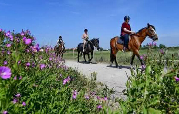 Semesterlägenhet - Berck , Frankrike - FNP233 906