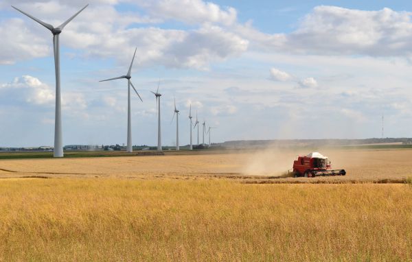 Feriebolig Les Renoncules des Champs