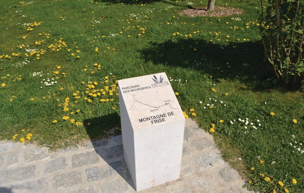 Domy wakacyjne - Frise , Francja - FNR041 903