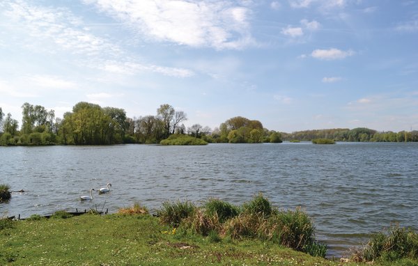 Domy wakacyjne - Frise , Francja - FNR041 906