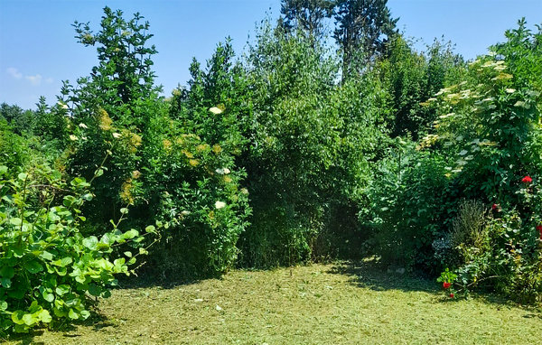 Vakantiehuis - Joli Chalet Hem-Monacu , Frankrijk - FNR055 909