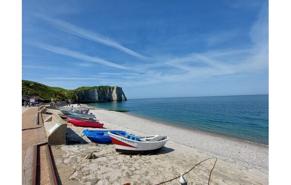 Domy wakacyjne - Veulettes sur Mer , Francja - FNS113 904