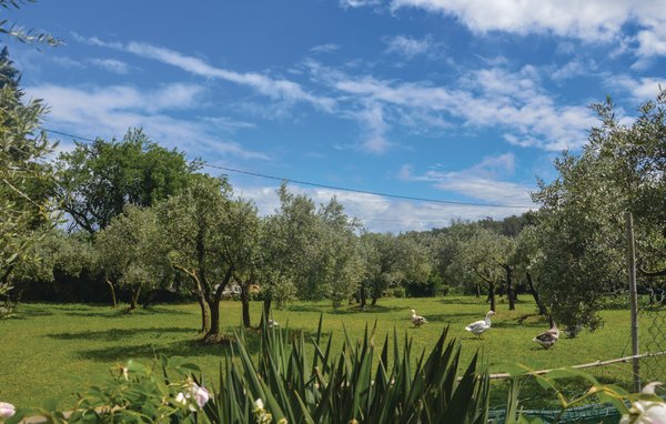 Location de vacances - Fontvieille , France - FPB318 101