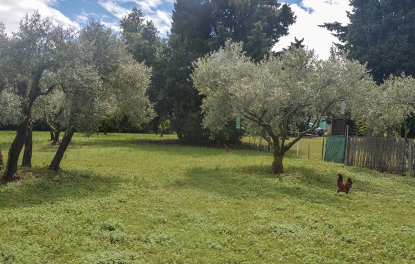 Location de vacances - Fontvieille , France - FPB318 104