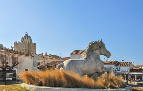 Ferienhaus - Saintes Maries de la Mer , Frankreich - FPB443 906