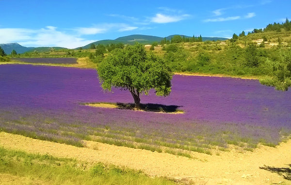 Location de vacances - Rognonas , France - FPB498 901