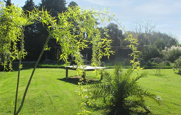 Ferienhaus - Salon de Provence , Frankreich - FPB655 101