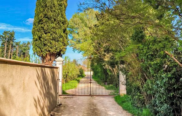 Feriehus - Noves , Frankrike - FPB658 103