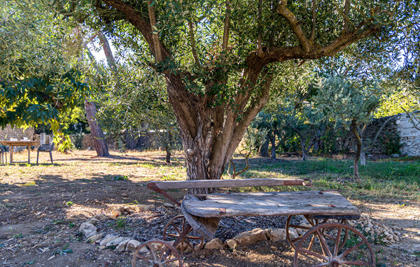 Casa vacanze - Alleins , Francia - FPB664 103