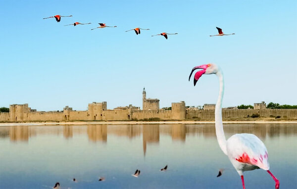 Casa de vacaciones - Saint-Remy-de-Provence , Francia - FPB665 903