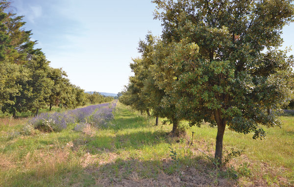 Feriehuse - Montbrison Sur Lez , Frankrig - FPD001 202