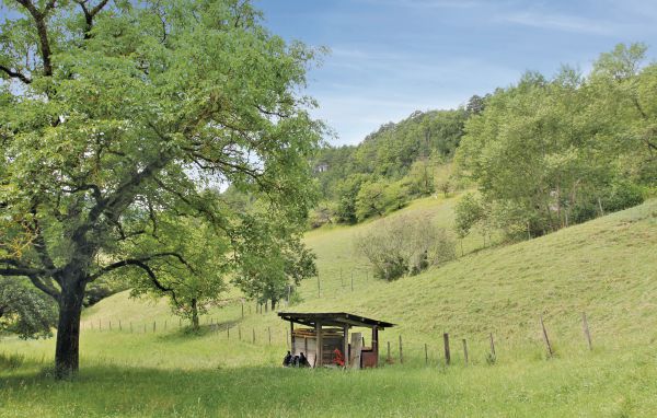 Feriebolig GÎTE DU JOCOU