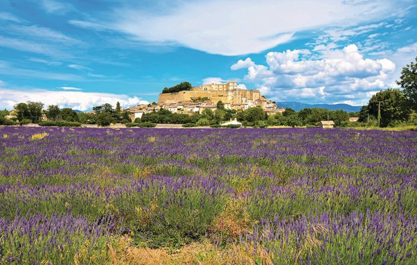 Domy wakacyjne - Grignan , Francja - FPD306 8