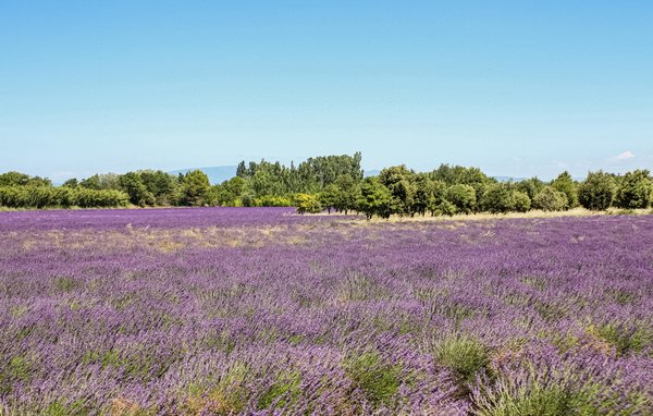Location de vacances - Espeluche , France - FPD394 902