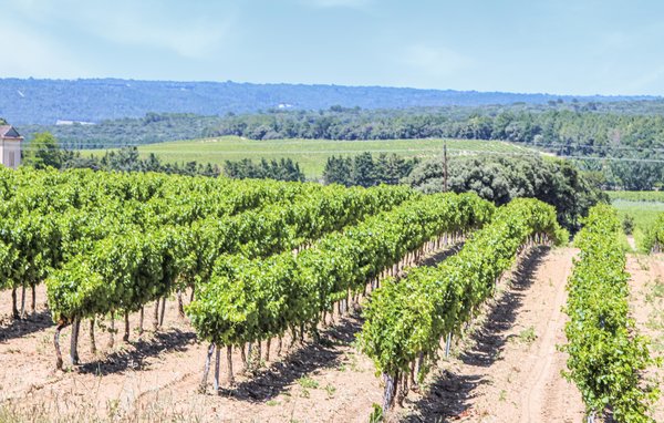 Location de vacances - Espeluche , France - FPD394 903