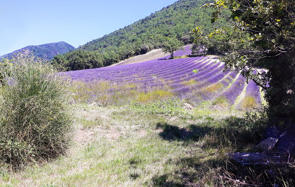 Location de vacances - Dieulefit , France - FPD397 8