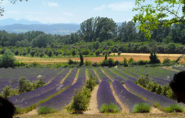 Location de vacances - Grignan , France - FPD455 901
