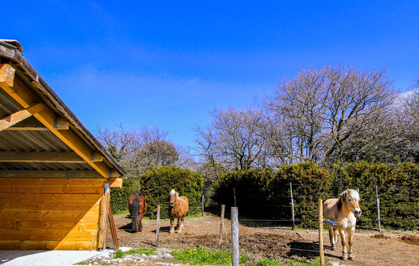 Location de vacances - Salles sous Bois , France - FPD483 8