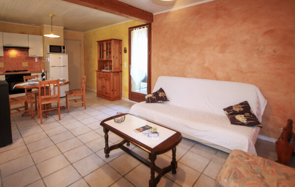 Kuća-za-odmor - Chateauneuf de Galaure , Francuska - FPD491 3